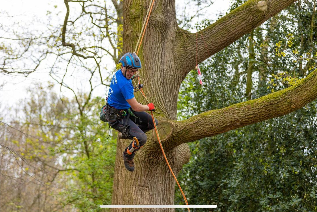 Competition climbing