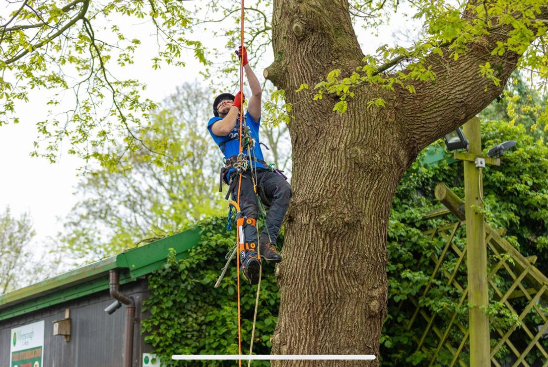 Competition climbing